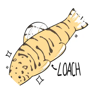 loach profile picture