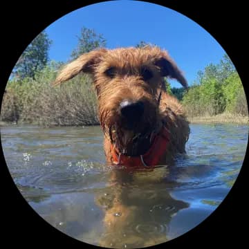 lynn profile picture