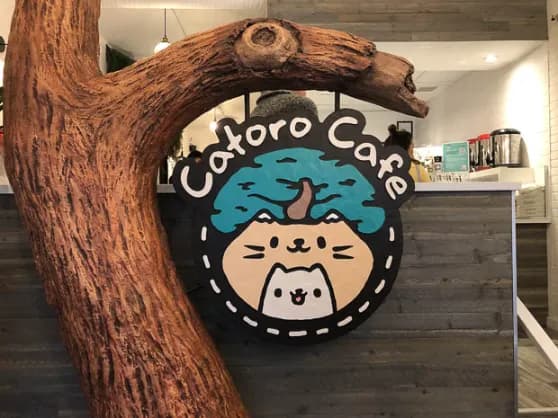 Catoro Cafe graphic